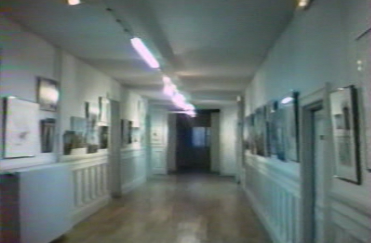 Exposition personnelle - Galerie du Château de GROUCHY, OSNY (95) - "Introspection"