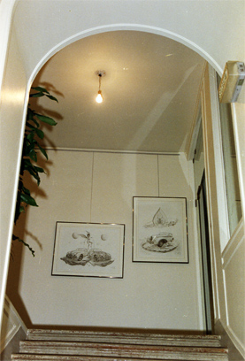 Exposition personnelle - Galerie du Château de GROUCHY, OSNY (95) - "Introspection"