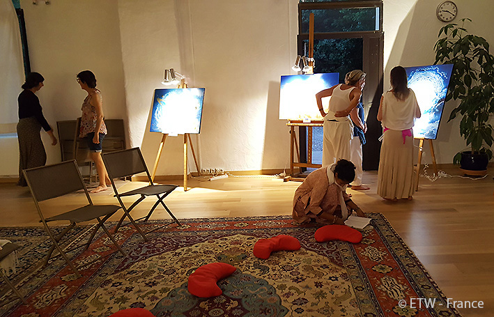 Stagiaires des plantes médicinales visitant l'expo de Peintures de François Schlesser juste avant la conférence avec Soa Malala- 30 juin 2019  - Centre AMMA "Lou Paradou" TOURVES (83) Var 