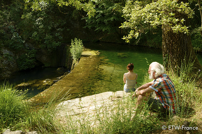 Stage de peinture (Enseignement de la peinture à l'huile) par François Schlesser - 5, 6, 7 juillet 2019  - Centre AMMA "Lou Paradou" TOURVES (83) Var 