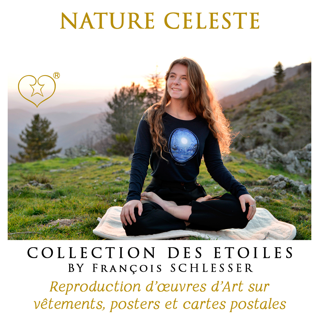 Collection des étoiles Nature Céleste