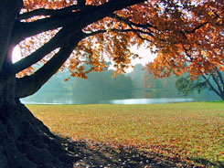 Parc du château de Ferrières