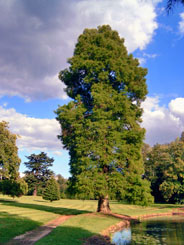 Parc du château de Ferrières