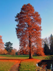 Parc du château de Ferrières