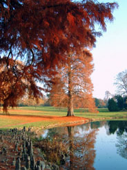 Parc du château de Ferrières