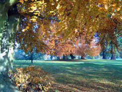 Parc du château de Ferrières