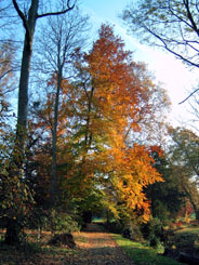 Parc du château de Ferrières