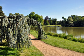 Parc du château de Ferrières