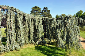 Parc du château de Ferrières