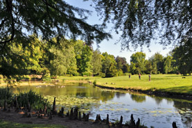 Parc du château de Ferrières