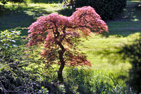 Parc du château de Ferrières